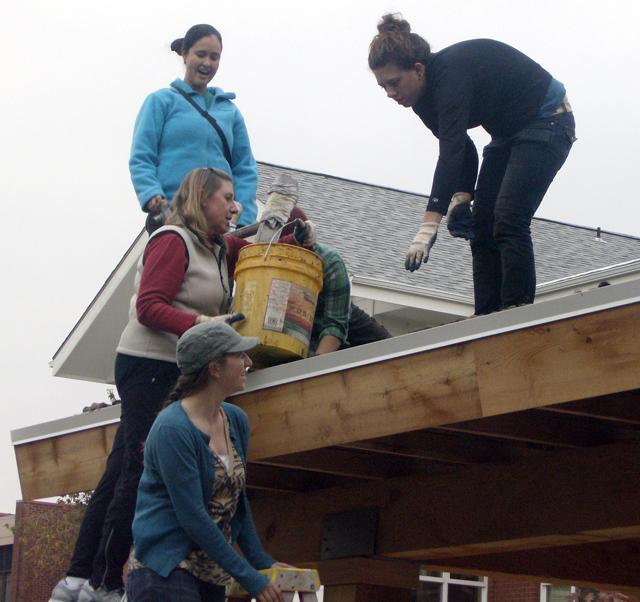  Lizzie Martinez (top left), AmeriCorps Vista Volunteer; Dawn Graff-Haight (inside), professor of health, human performance and athletics; and seniors Katie Kann (top right) and Dayna Tapp (bottom left) use sod to assemble an eco-roof Nov. 5. Sarah Hansen/Photo editor 