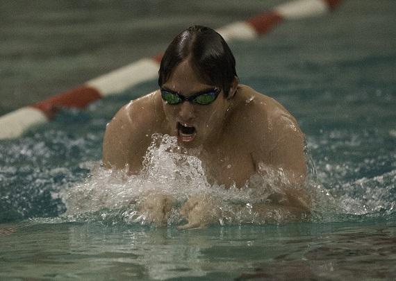 Wetcats put up fight in dual meets