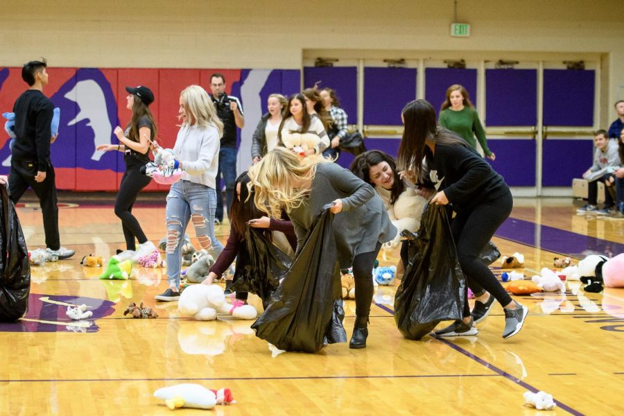 Phi Sigma Sigma member collect stuffed animals off gym floor after toss