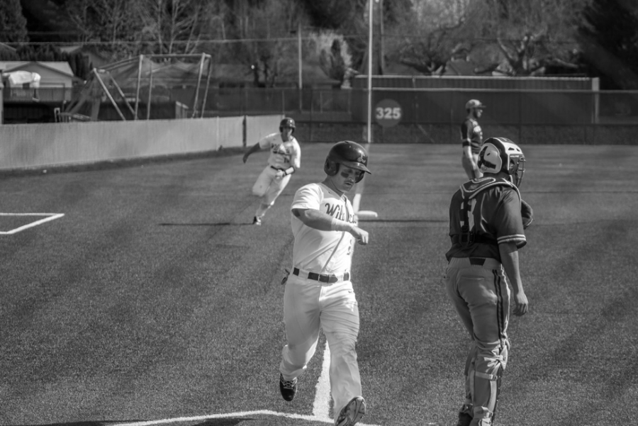 Joey Cassano, ‘18, (#25) running home with fellow Linfield ‘Cat running in background to score two runs in a previous game.