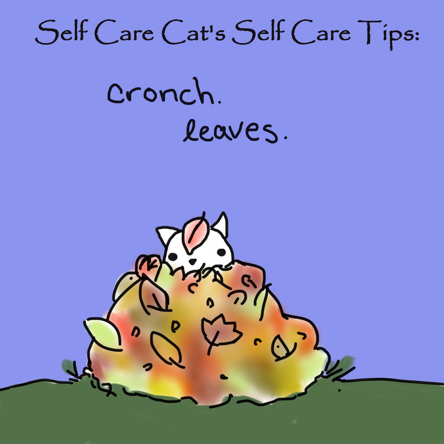 Cats Self Care Tips The Linfield Review