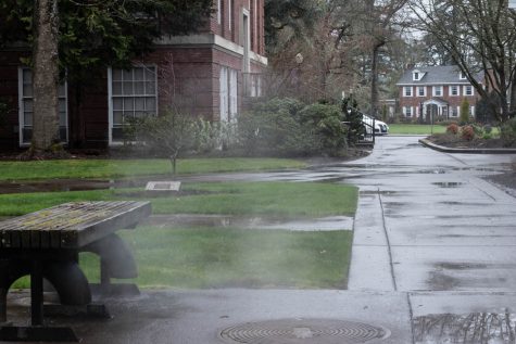 Shot of campus looking down path by Melrose