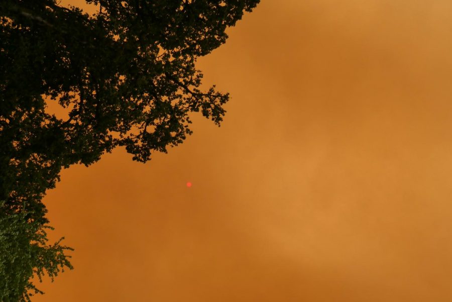 Through the layers of smoke, the sun was barely visible as a red disk.