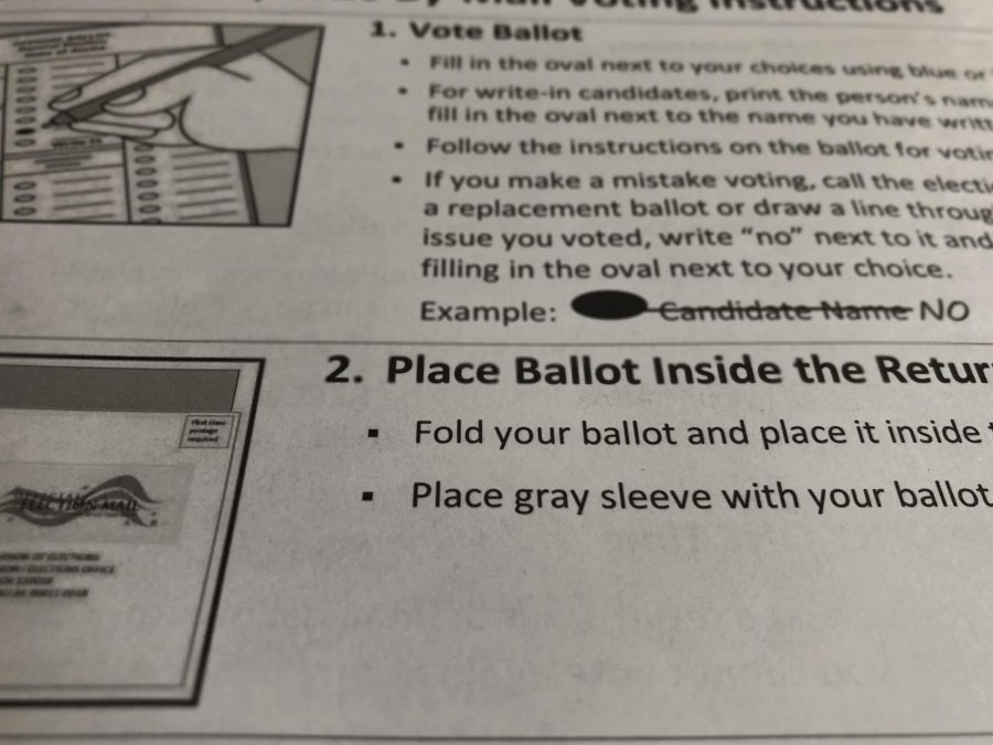 Students who vote this year will likely be submitting ballots by mail.