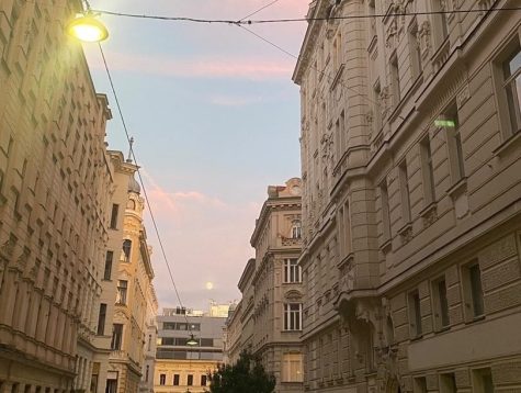 Sunset in the streets of Vienna, Austria. Photo by Allison Hmura.