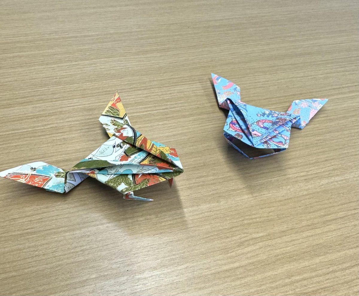 Origami made during a Japanese Club meeting. 