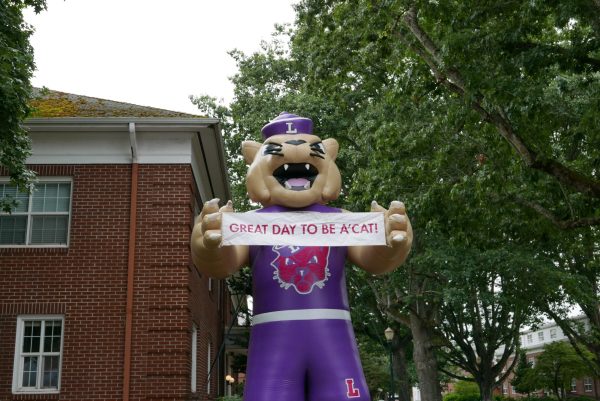 The best student discounts for Wildcats