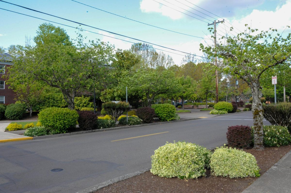 Linfield Ave. between Walker and Dillin.